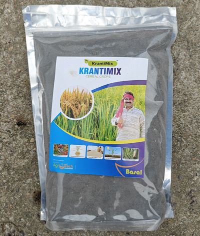 Cereal Crops (Paddy)