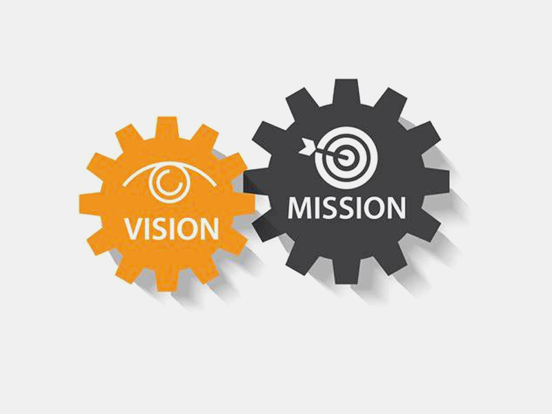 Vision
